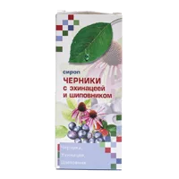 Сироп ЧЕРНИКИ с эхинацеей и шиповником 100мл N1