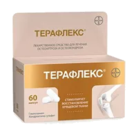 Терафлекс капс 500мг 400мг N60