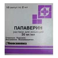 Папаверин р-р д/ин 2% 2мл N10