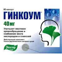 ГИНКОУМ капс 40мг N60