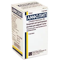 Амфолип конц д/р-ра д/инф 0,5% 20мл N1