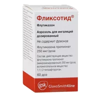 Фликсотид аэр д/инг доз 250мкг/доза 60дз N1