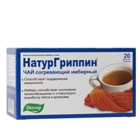 НатурГриппин ЭВАЛАР чай согревающий имбирный 2г N20