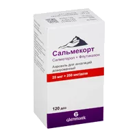Сальмекорт аэр д/инг доз 25мкг 250мкг/доза 120дз N1