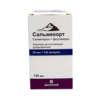 Сальмекорт аэр д/инг доз 25мкг 125мкг/доза 120дз N1