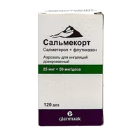 Сальмекорт аэр д/инг доз 25мкг 50мкг/доза 120дз N1