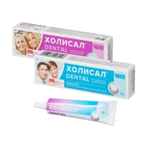 Холисал Дентал Гель для ухода за полостью рта 15г