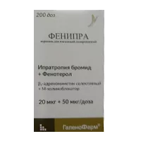 Фенипра аэр д/инг доз 20мкг 50мкг/доза 200дз N1