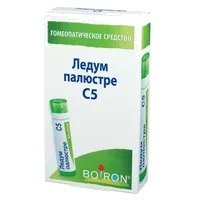 Ледум палюстре С5 гран гомеопат 4г N1