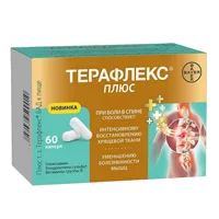 Терафлекс Плюс капсулы 740мг N60