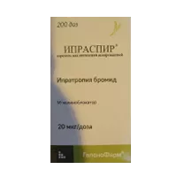 Ипраспир аэр д/инг доз 20мкг/доза 200дз N1