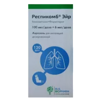 Респикомб Эйр аэр д/инг доз 100мкг 6мкг/доза 120дз N1
