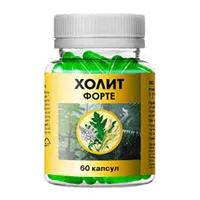 Холит Форте капсулы 650мг N60