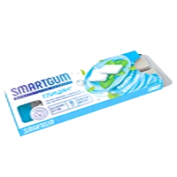 SMARTGUM Жевательная резинка Глицин Память+Внимание таблетки жев 1100мг N10
