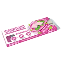 SMARTGUM Жевательная резинка Аланин В период менопаузы таблетки жев 1100мг N10