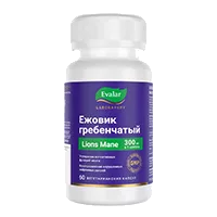 Ежовик гребенчатый Lions Mane 300 мг Evalar капсулы 500мг N60