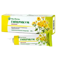 Гиперикум мазь д/наружн пр гомеопат 30г N1